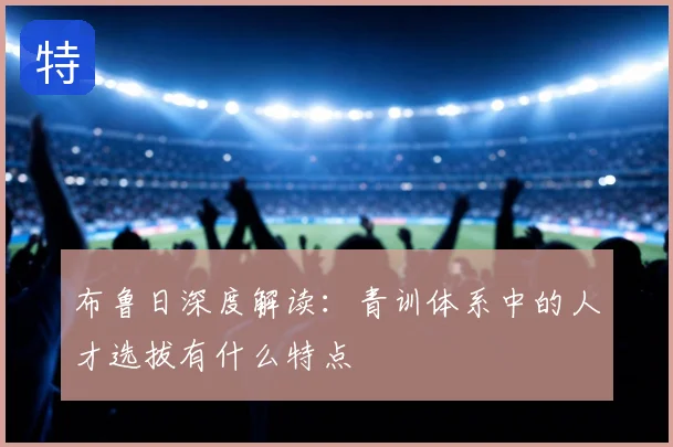 布鲁日深度解读：青训体系中的人才选拔有什么特点